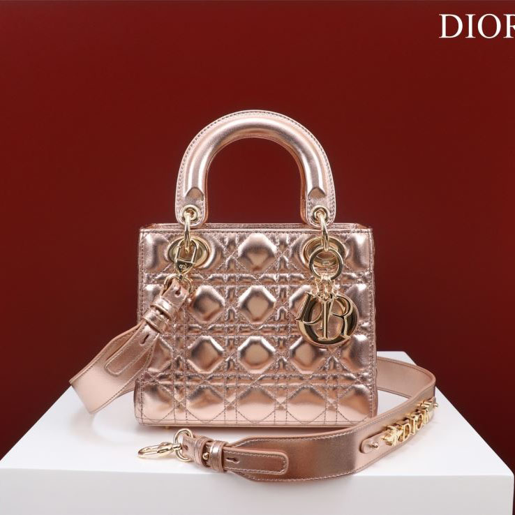 chr1st1an D10r my lady bags